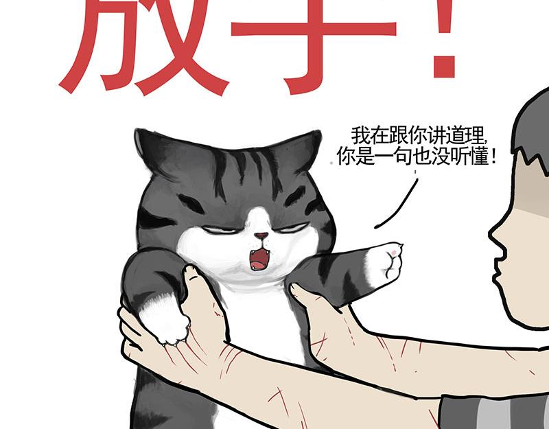 吾皇巴扎黑漫画,第351话 人间真实2图