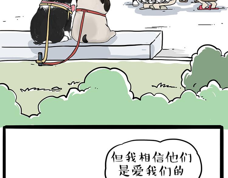 吾皇巴扎黑漫画,第223话 狗知识增加了2图