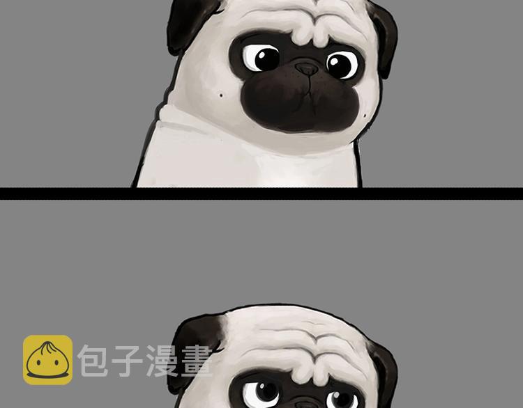 吾皇巴扎黑漫画,第151话 一声兄弟，一生兄弟1图
