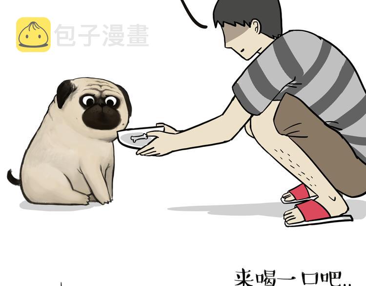 吾皇巴扎黑漫画,第44话 日常坑狗，却猫前屈膝1图
