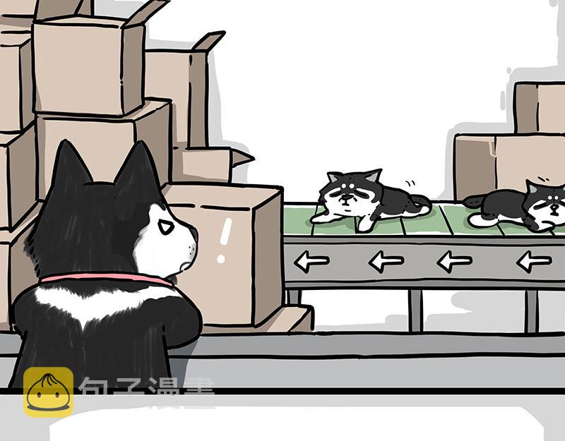 巴扎黑漫画,第304话 你是真的狗2图
