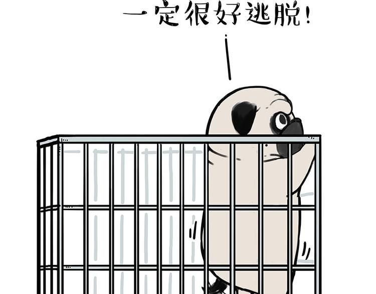 吾皇巴扎黑漫画,第176话 不要打扰我追求自由1图