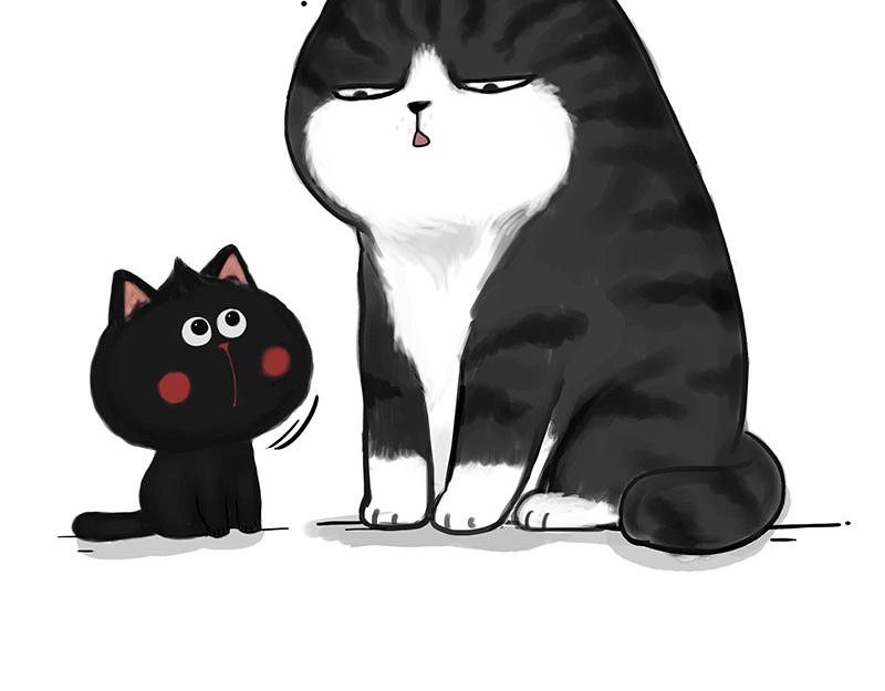 吾皇巴扎黑漫画,第349话 养只猫吧2图