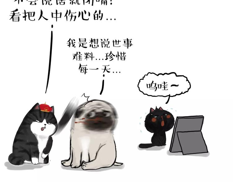 吾皇巴扎黑漫画全集漫画,第95话 一辈子在一起2图