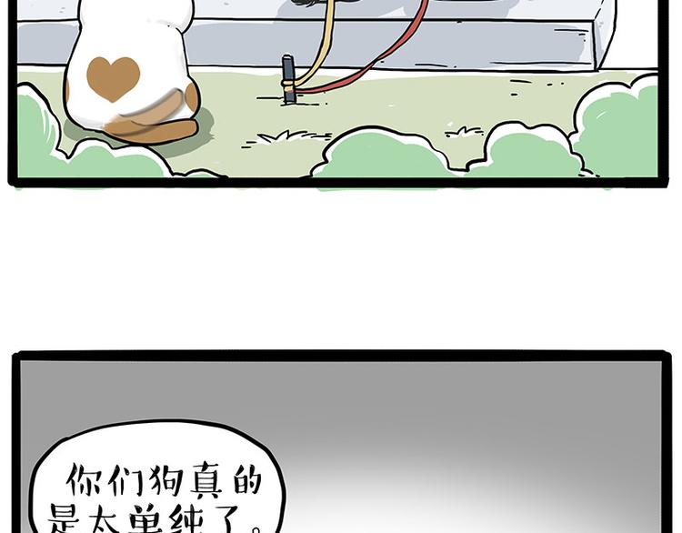吾皇巴扎黑漫画,第223话 狗知识增加了1图