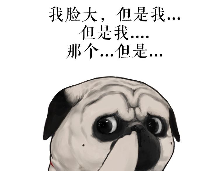 吾皇巴扎黑漫画,第53话 宠物的压力2图