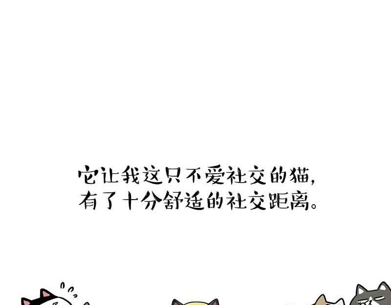 吾皇巴扎黑漫画,第359话 猫洛芬2图
