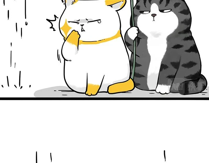 吾皇巴扎黑漫画全集漫画,第364话 万一呢？1图