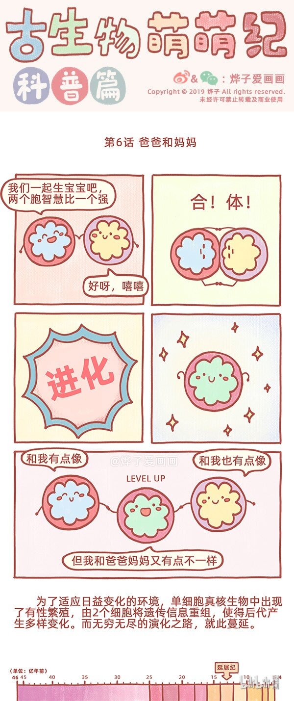 古生物萌萌纪（科普篇）漫画,第6话 爸爸和妈妈1图