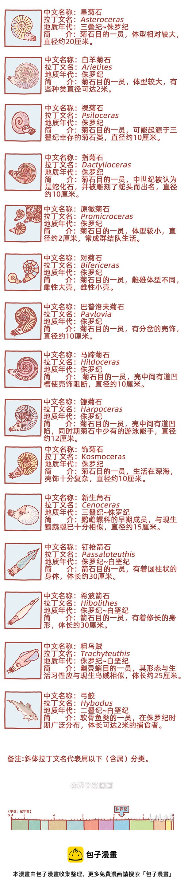 古生物萌萌纪（科普篇）漫画,物种名片 侏罗纪52图