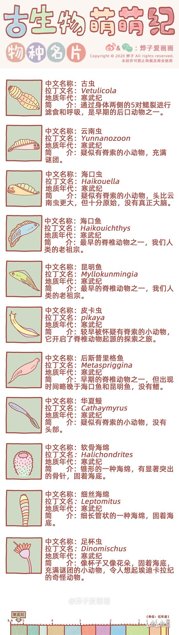 古生物萌萌纪（科普篇）漫画,物种名片 寒武纪31图