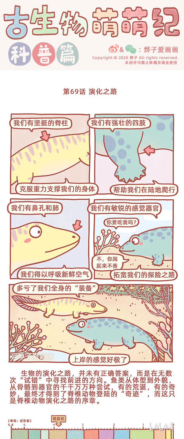 古生物萌萌纪（科普篇）漫画,第69话 演化之路1图