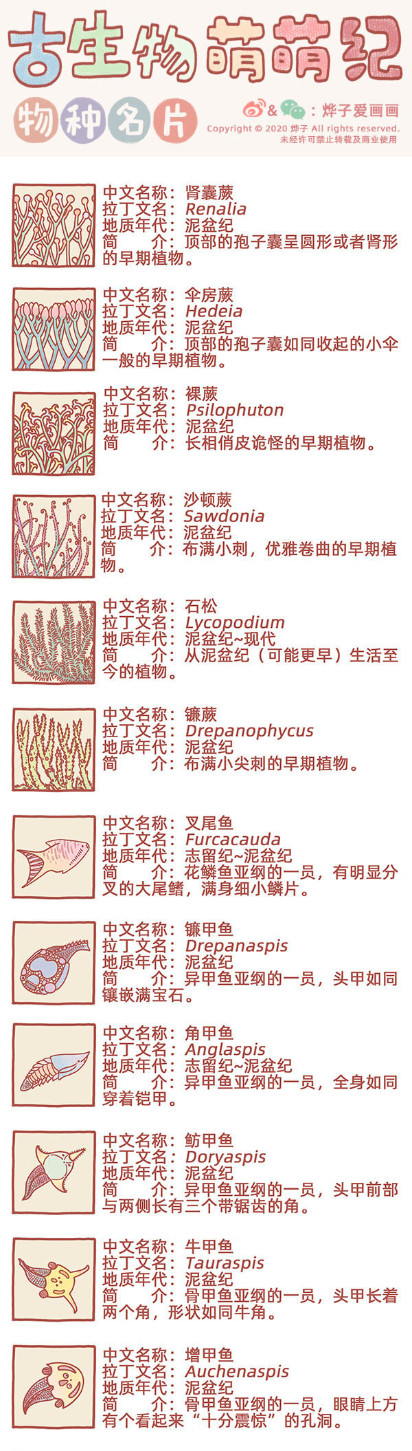 古生物萌萌纪（科普篇）漫画,物种名片 泥盆纪11图