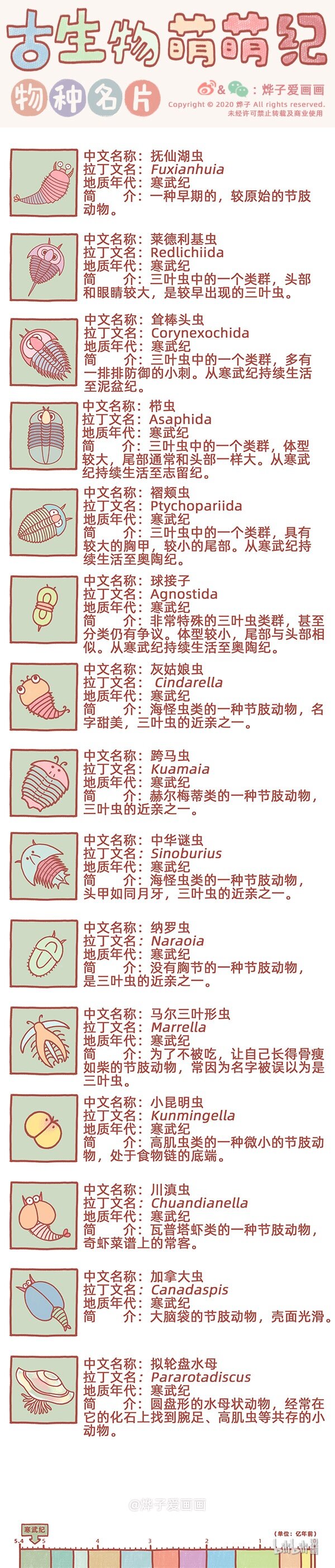 古生物萌萌纪（科普篇）漫画,物种名片 寒武纪21图