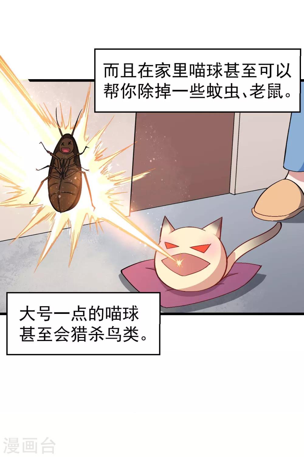 校园狂师动漫合集漫画,第137话 喵球1图