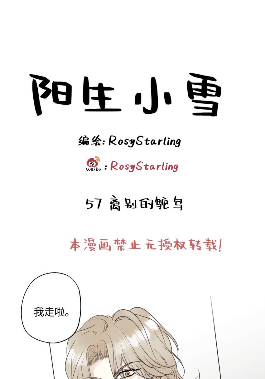 阳生肖是哪几个生肖漫画,57 离别的鸵鸟1图