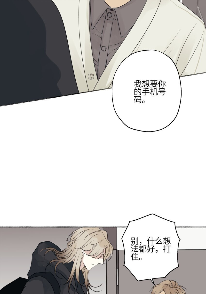 阳生阴我漫画,57 离别的鸵鸟2图