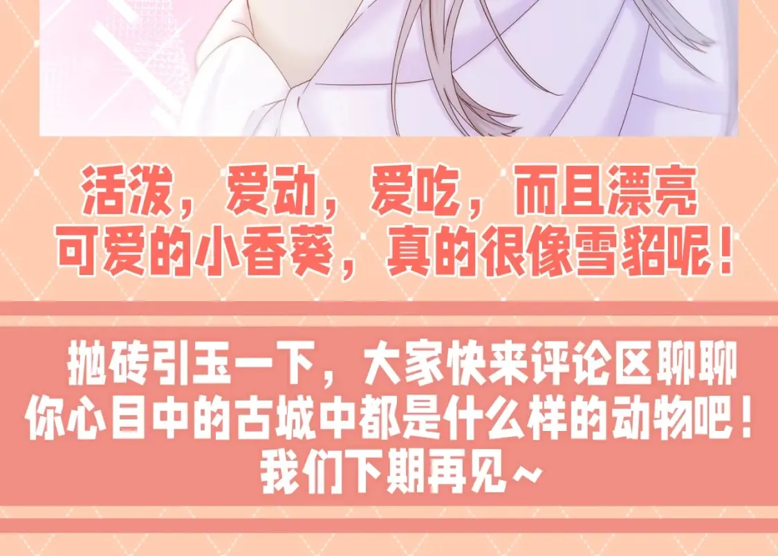 Live·冷宫直播漫画免费阅读下拉式漫画,第21期 整活企划：假如动物塑古城众的话……1图