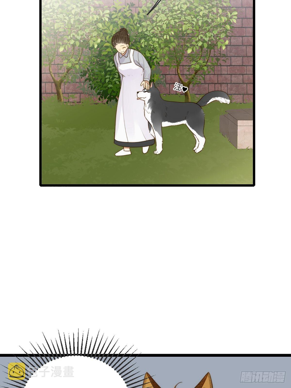 只有尾巴不可以盖子犬微博超话漫画,奇妙的化学反应2图