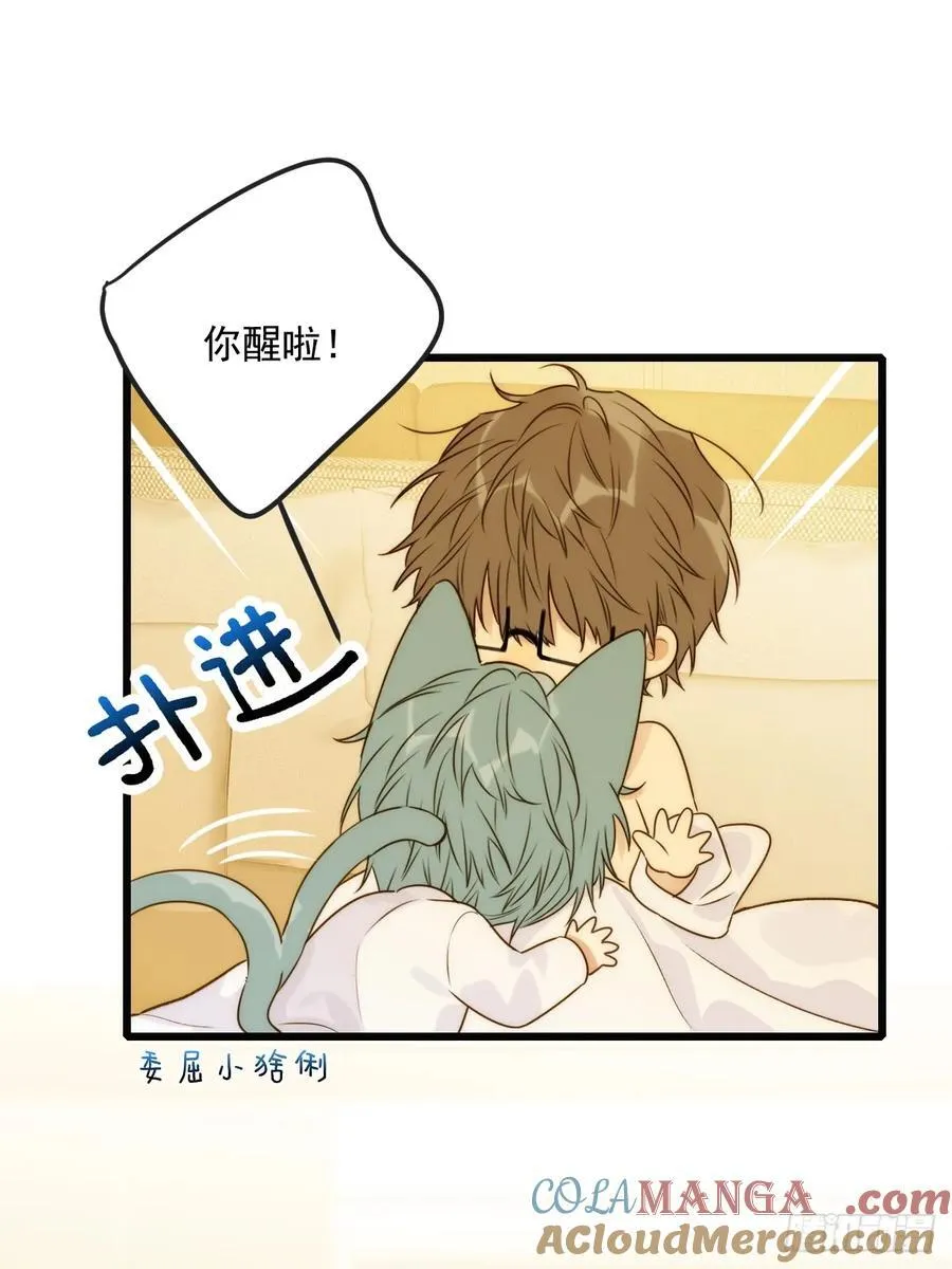 只有尾巴不可以盖子犬微博超话漫画,小插曲2图