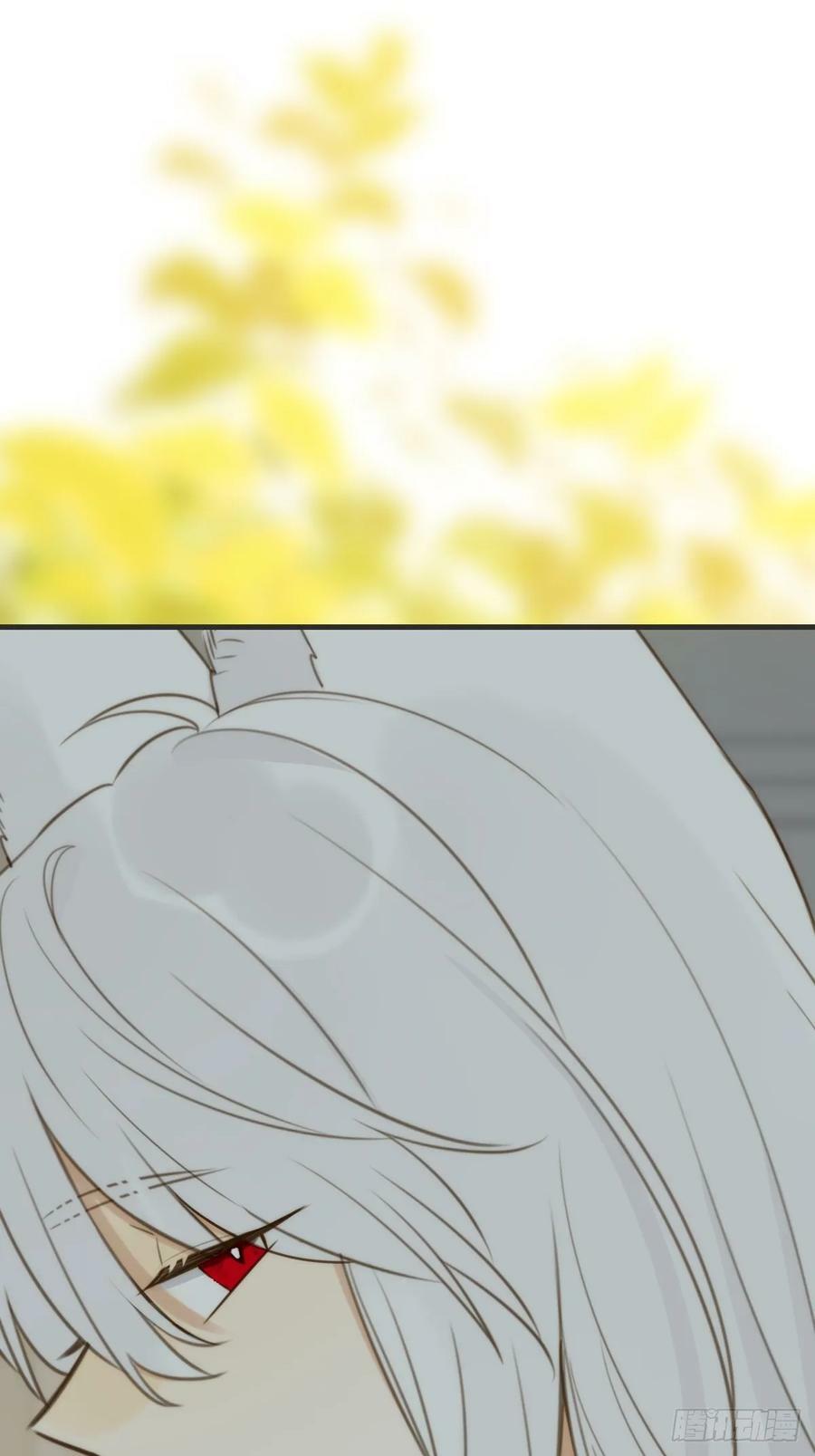 只有尾巴不可以盖子犬微博超话漫画,一眼万年2图