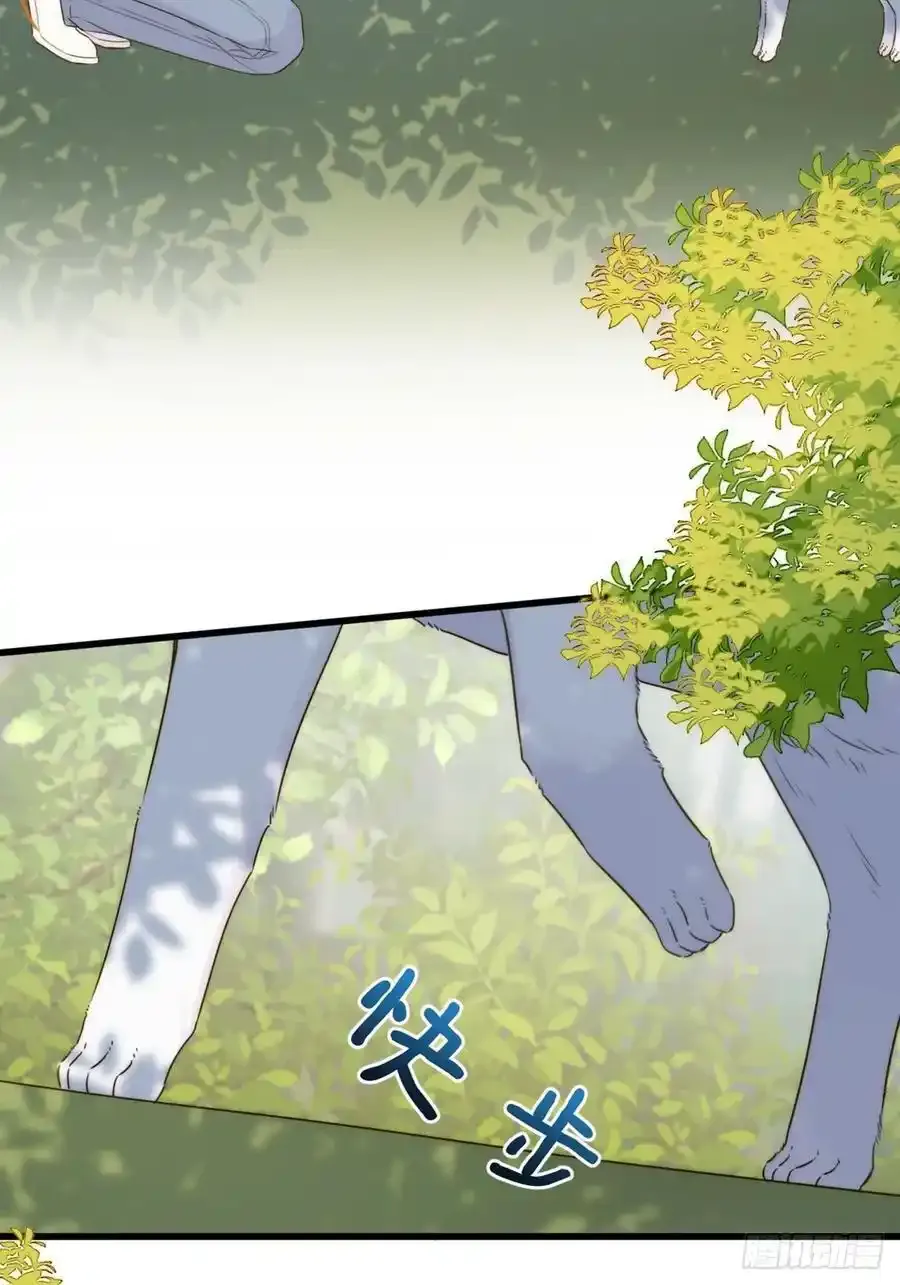 只有尾巴不可以盖子犬微博超话漫画,师徒再见1图