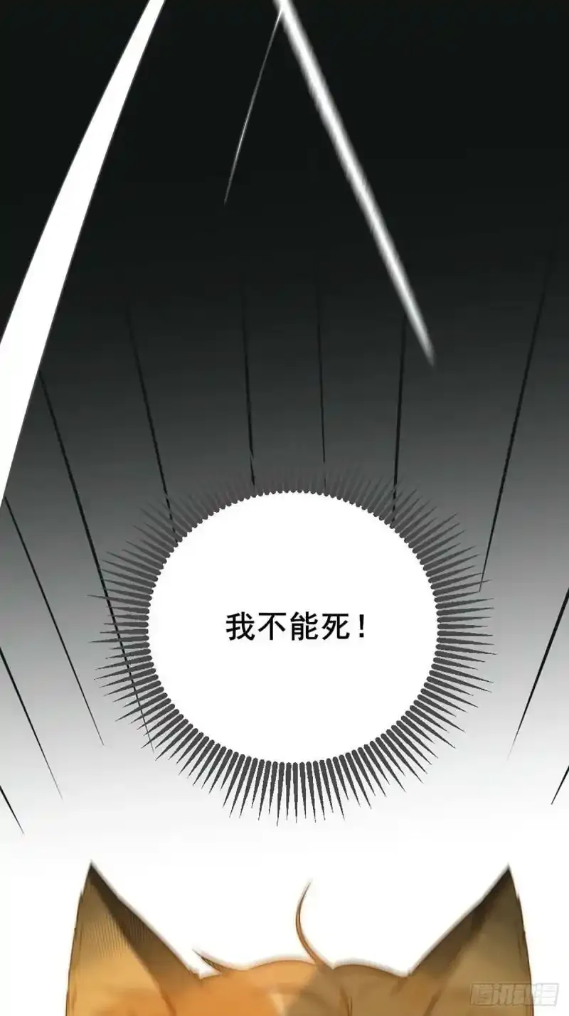 只有尾巴不可以盖子犬微博超话漫画,命运般地相遇了1图