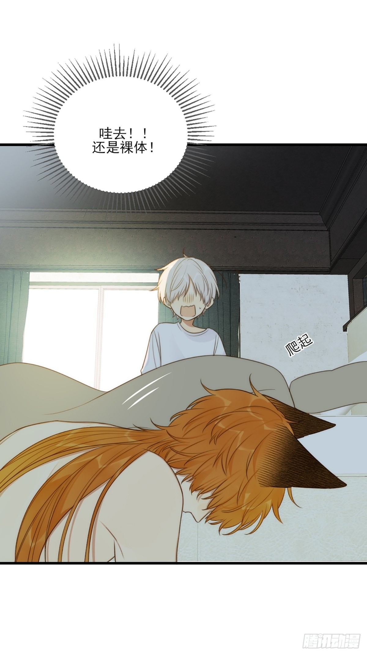 只有尾巴不可以盖子犬微博超话漫画,失忆的狐狸1图