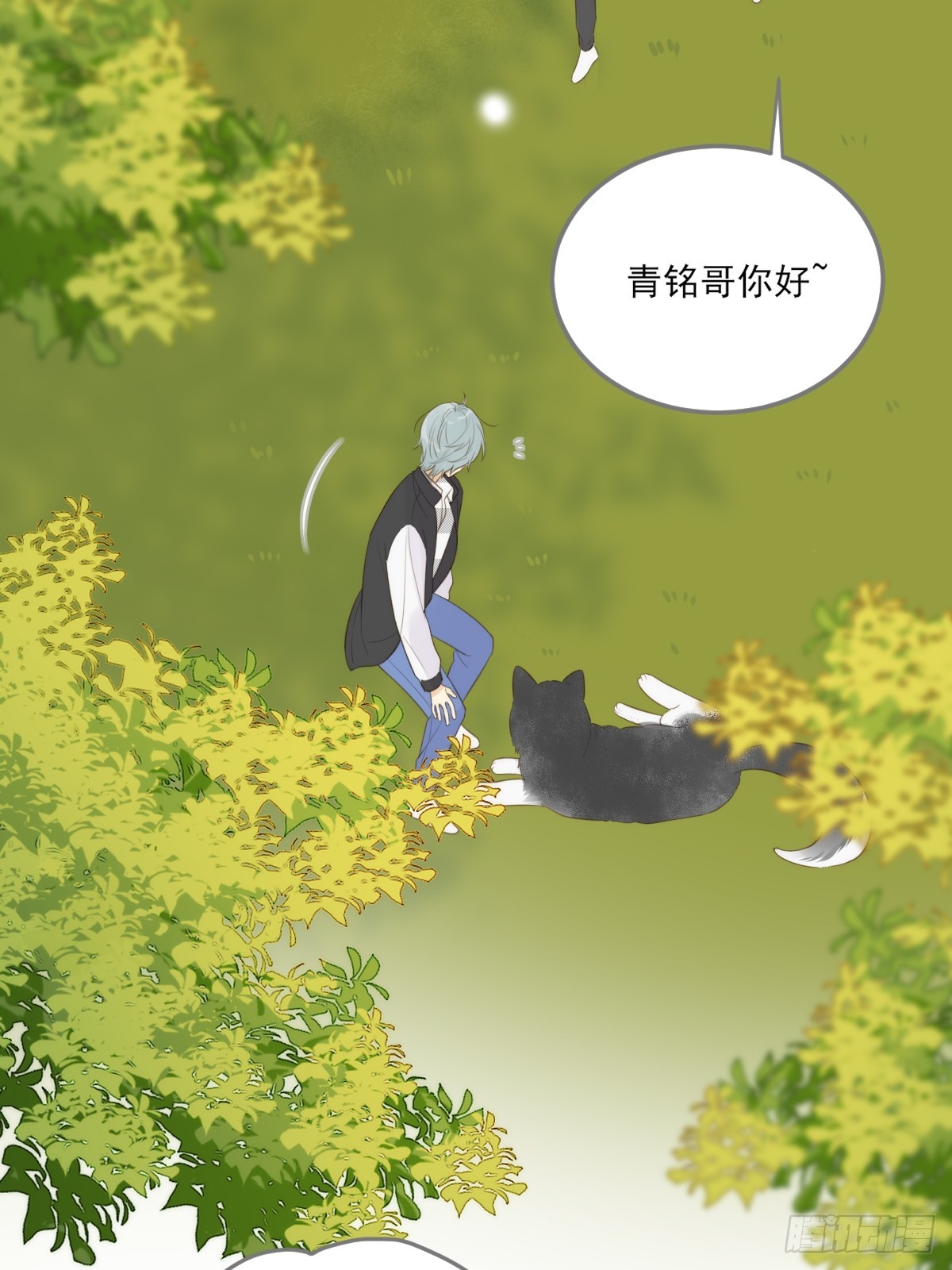 只有尾巴不可以盖子犬微博超话漫画,哥哥的理想型？2图