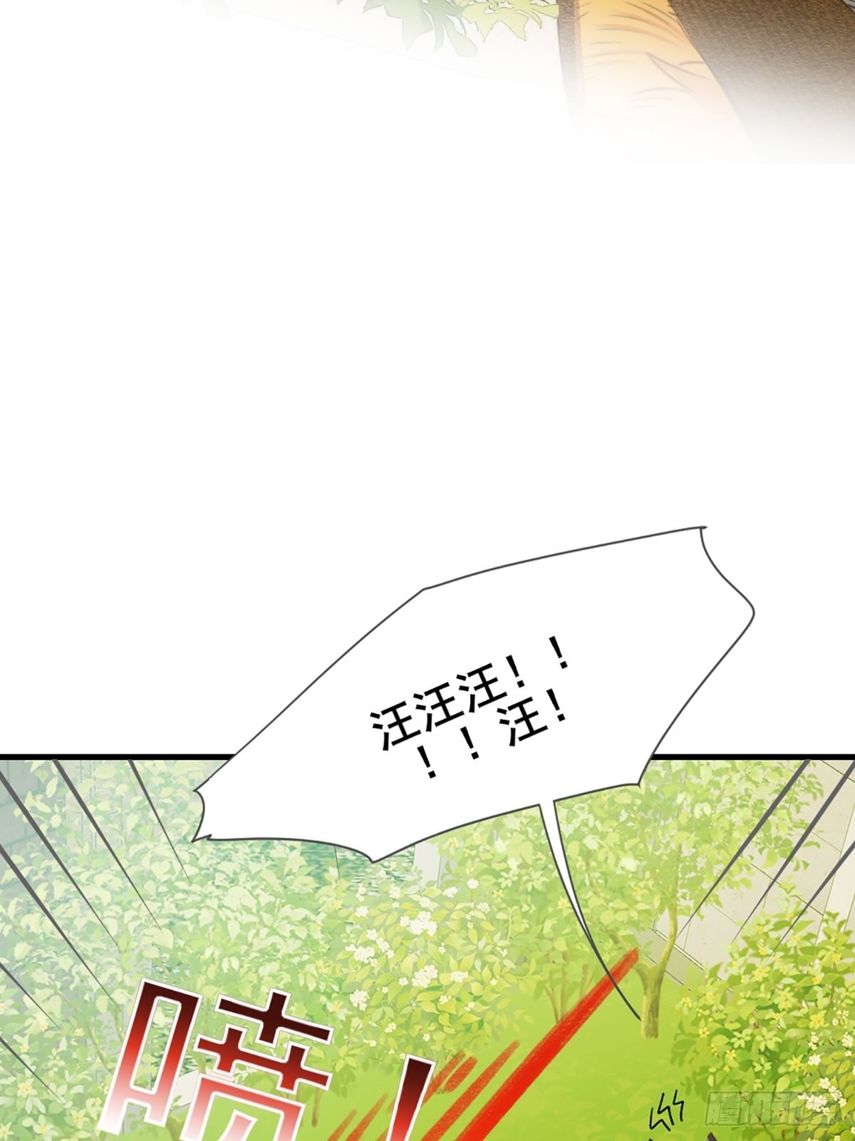 只有尾巴不可以盖子犬微博超话漫画,失忆的狐狸2图