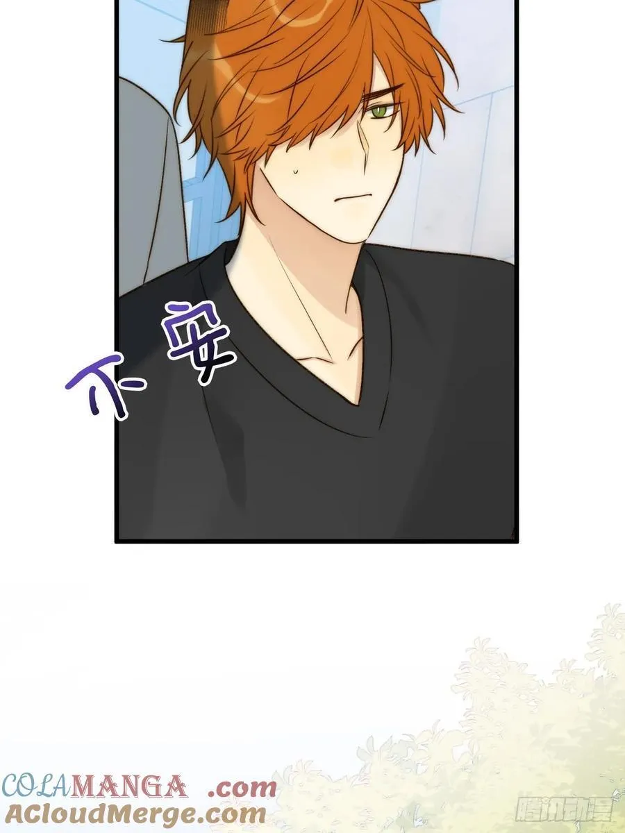 只有尾巴不可以盖子犬微博超话漫画,妖界的震荡1图