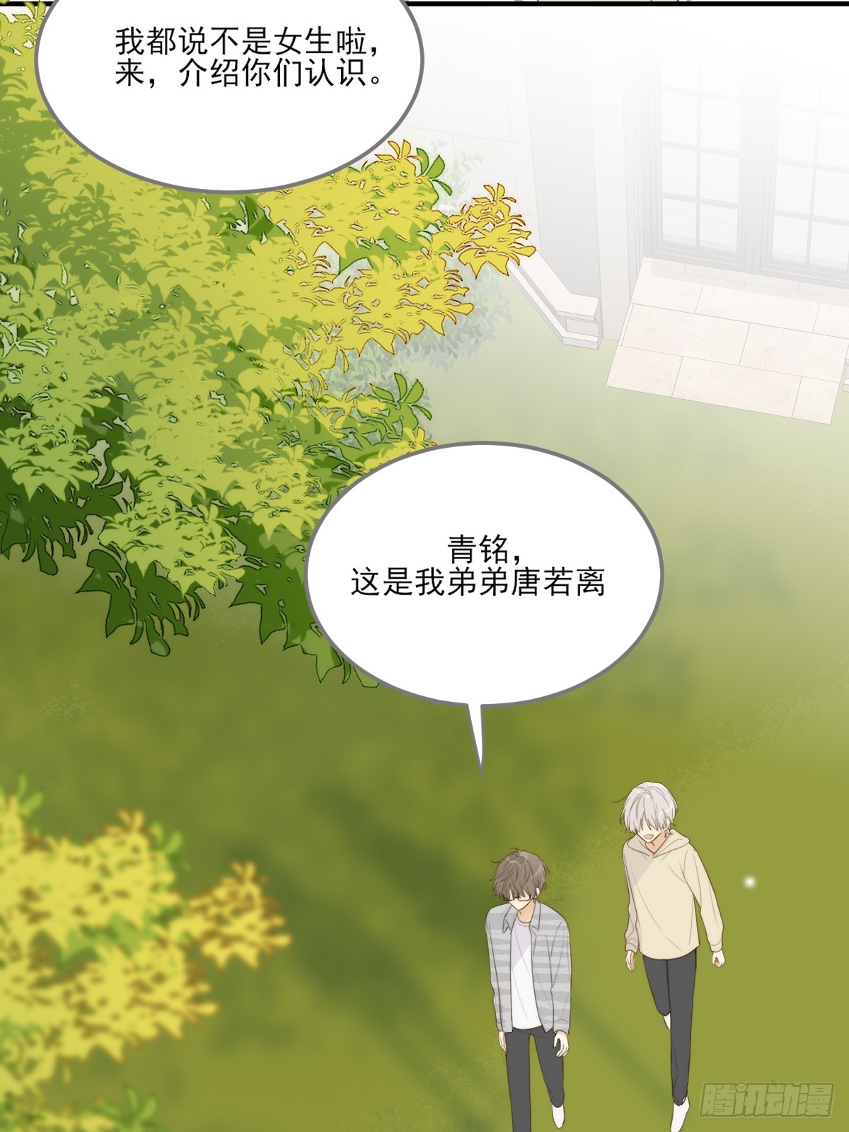 只有尾巴不可以盖子犬微博超话漫画,哥哥的理想型？1图