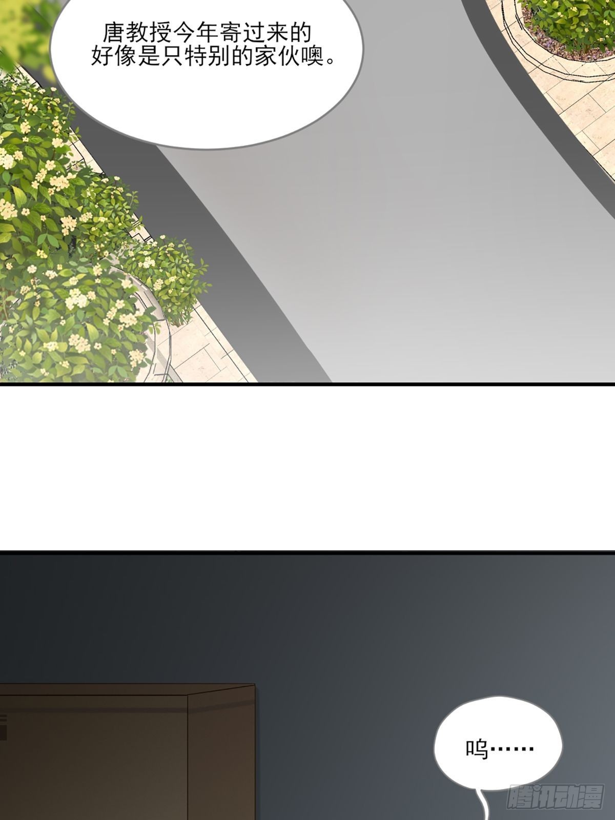 只有尾巴不可以盖子犬微博超话漫画,再次相遇却失忆？1图