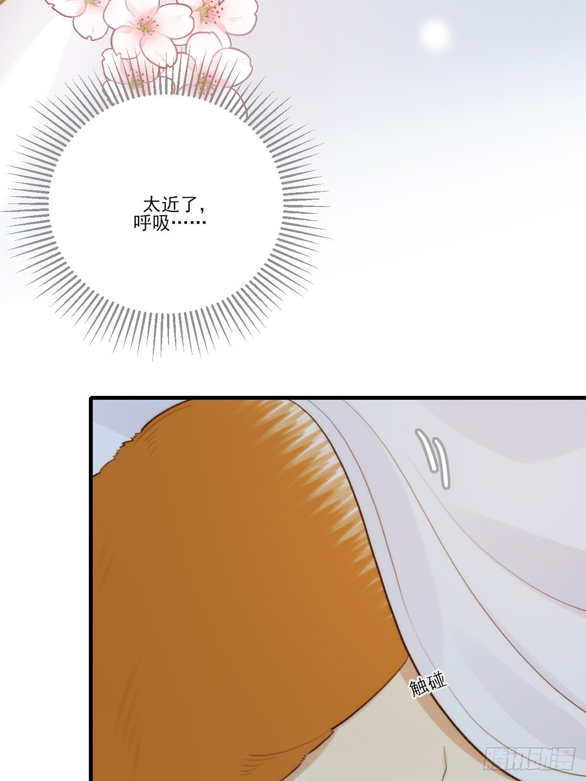 只有尾巴不可以盖子犬微博超话漫画,过分接近的距离2图