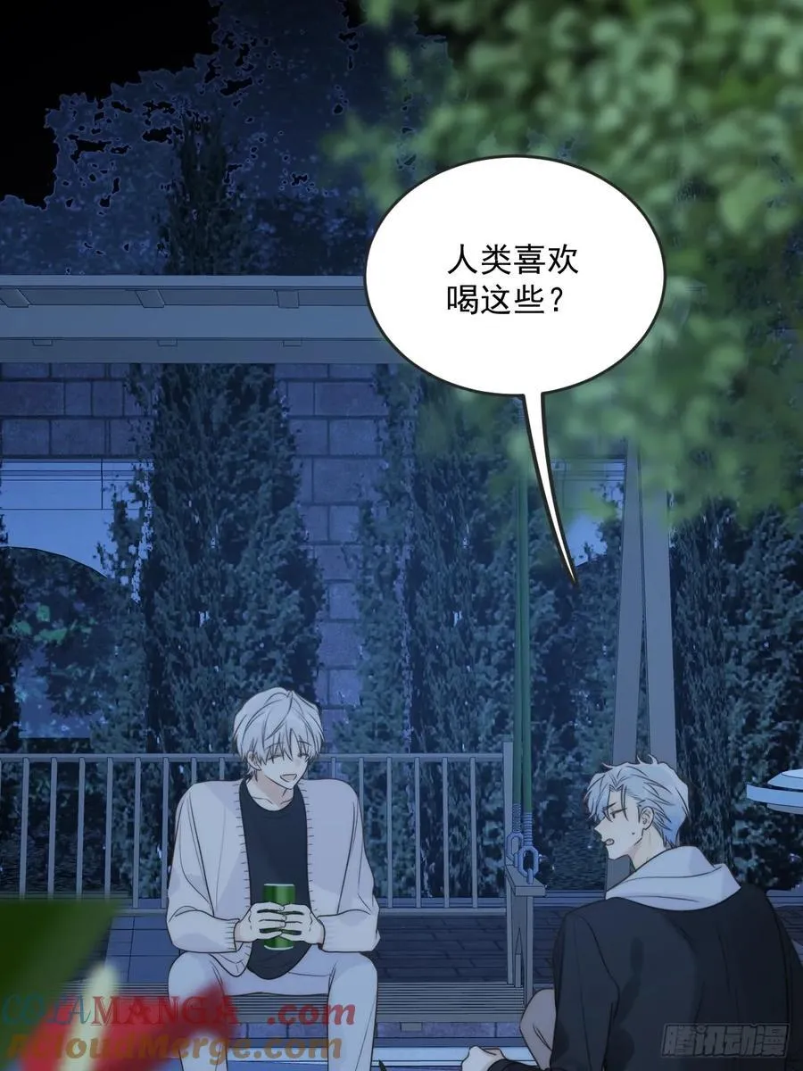 只有尾巴不可以盖子犬微博超话漫画,夜间啤酒1图