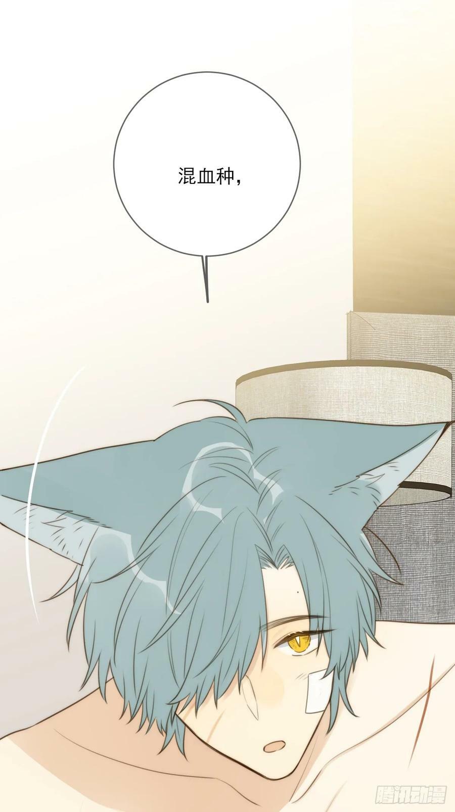 只有尾巴不可以盖子犬微博超话漫画,你待我如此特别1图