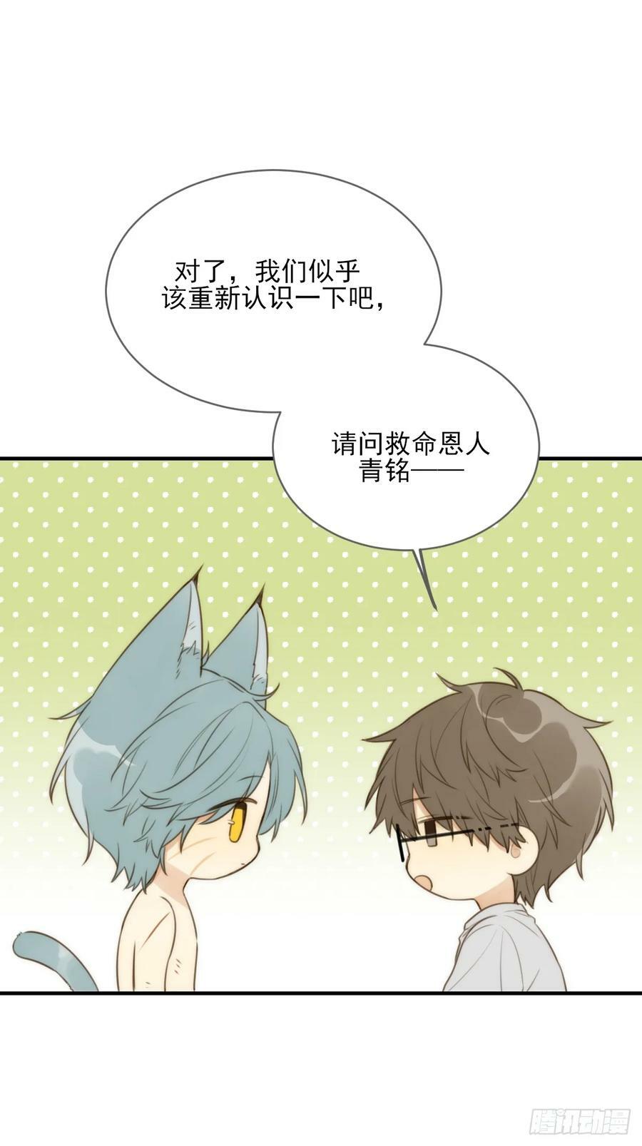 只有尾巴不可以盖子犬微博超话漫画,你待我如此特别1图
