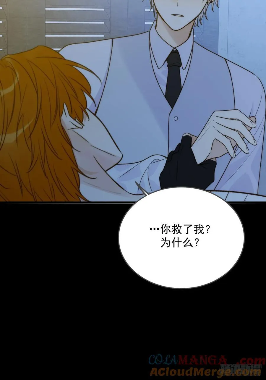 只有尾巴不可以盖子犬微博超话漫画,新年特别篇(下)1图