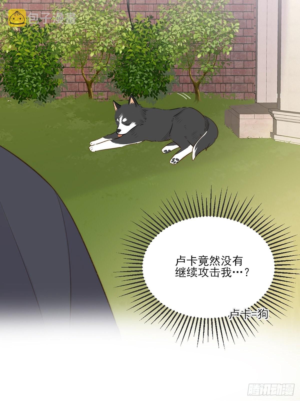 只有尾巴不可以盖子犬微博超话漫画,奇妙的化学反应2图