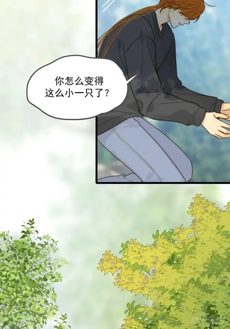 只有尾巴不可以盖子犬微博超话漫画,师徒再见1图