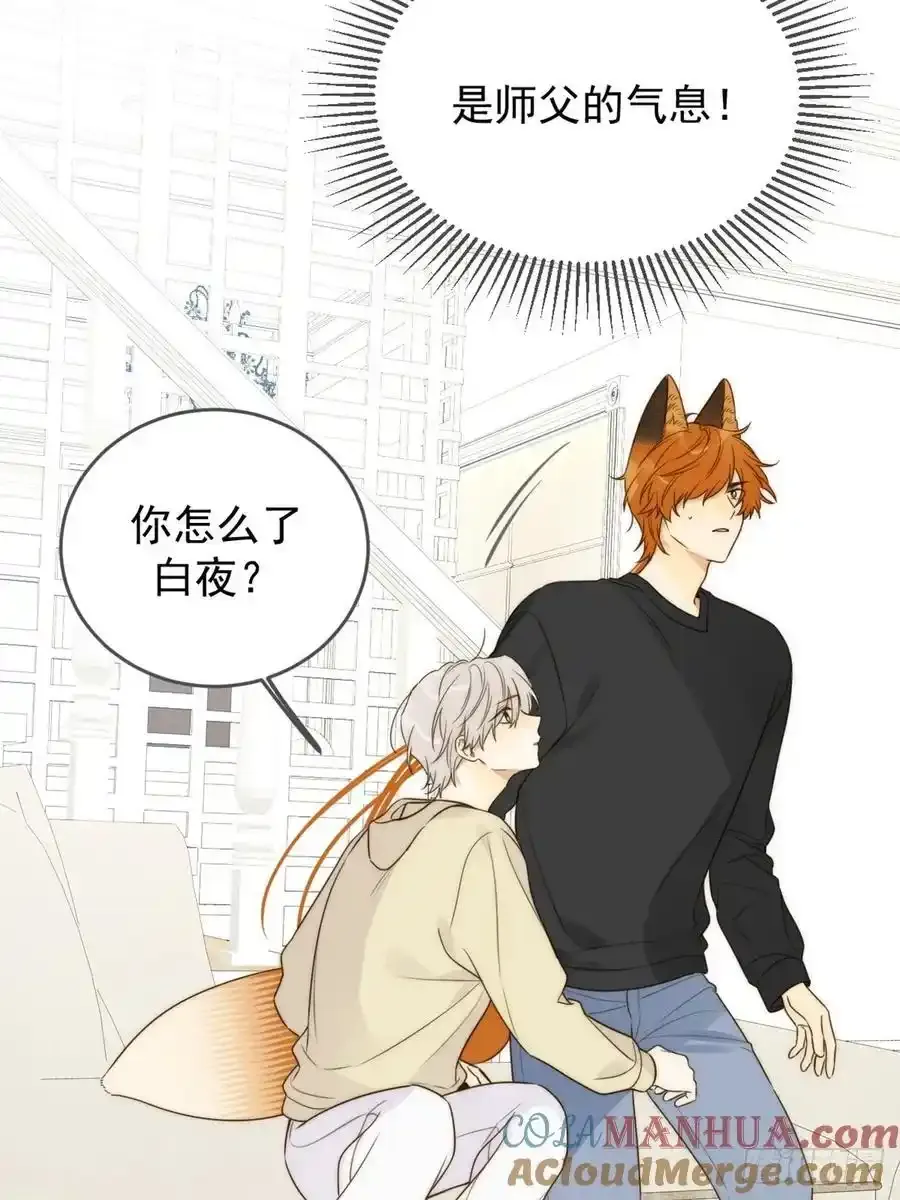 只有尾巴不可以盖子犬微博超话漫画,师徒再见2图