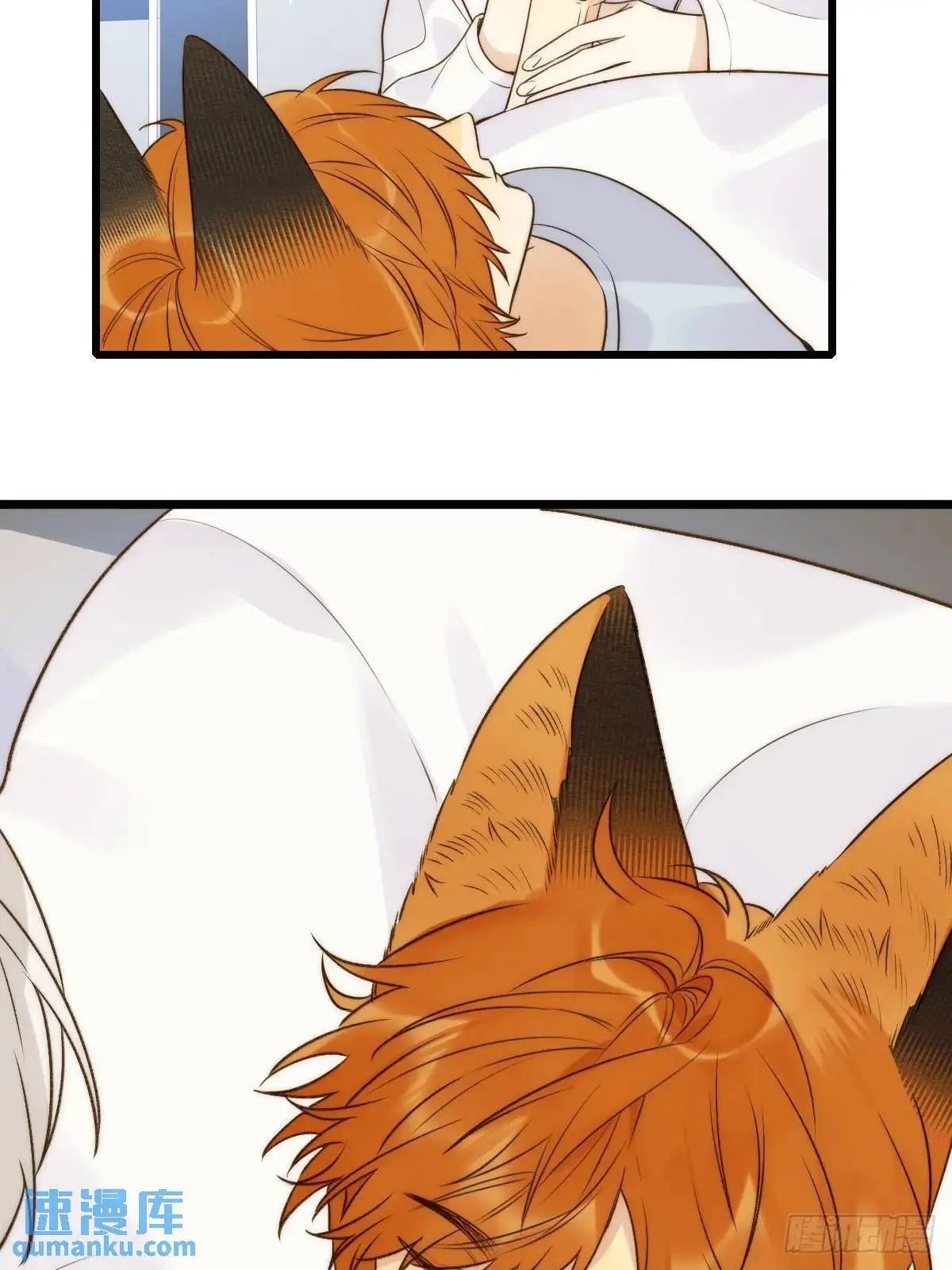 只有尾巴不可以盖子犬微博超话漫画,虎妖帮忙2图