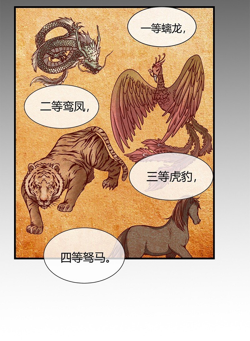 战国千年漫画,12 天赋异禀2图