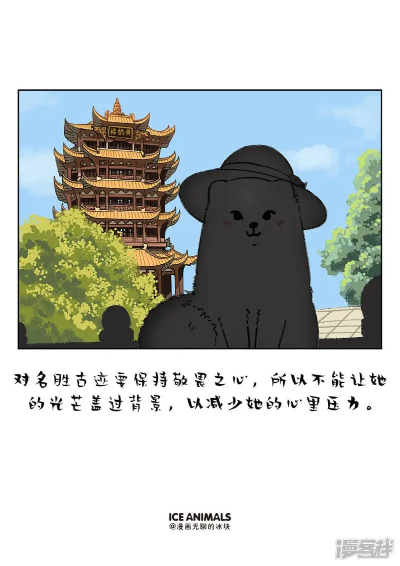 快把动物放进冰箱漫画,214男朋友对你用不用心，看他给你拍的照片就知道2图