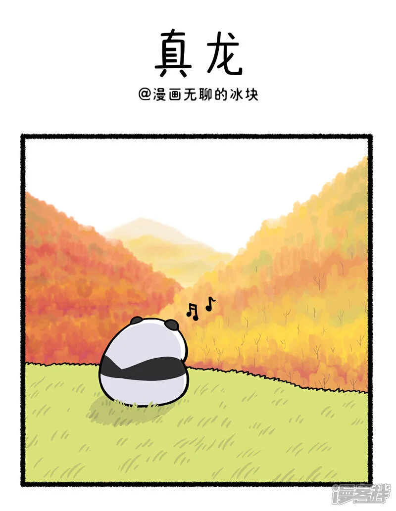 快把动物放进冰箱壁纸漫画,398打一个雪糕名字1图