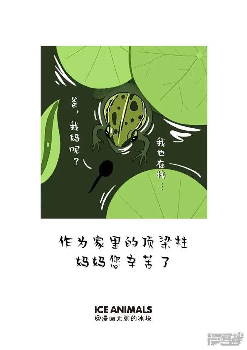 快把动物放进冰箱动漫漫画,150妈，你这老公是怎么肥事啊1图