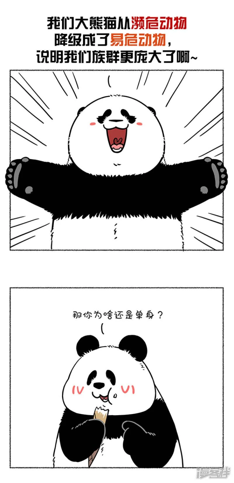 快把动物放进冰箱壁纸漫画,284热烈庆祝大熊猫成功降级，也祝贺奇思圆宝不忘初心~2图