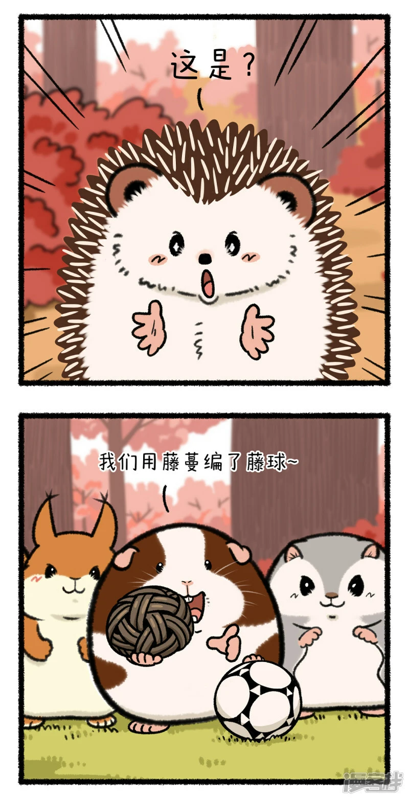 快把动物放进冰箱动漫漫画,355谁还不是足球场上一朵带刺的玫瑰了~2图