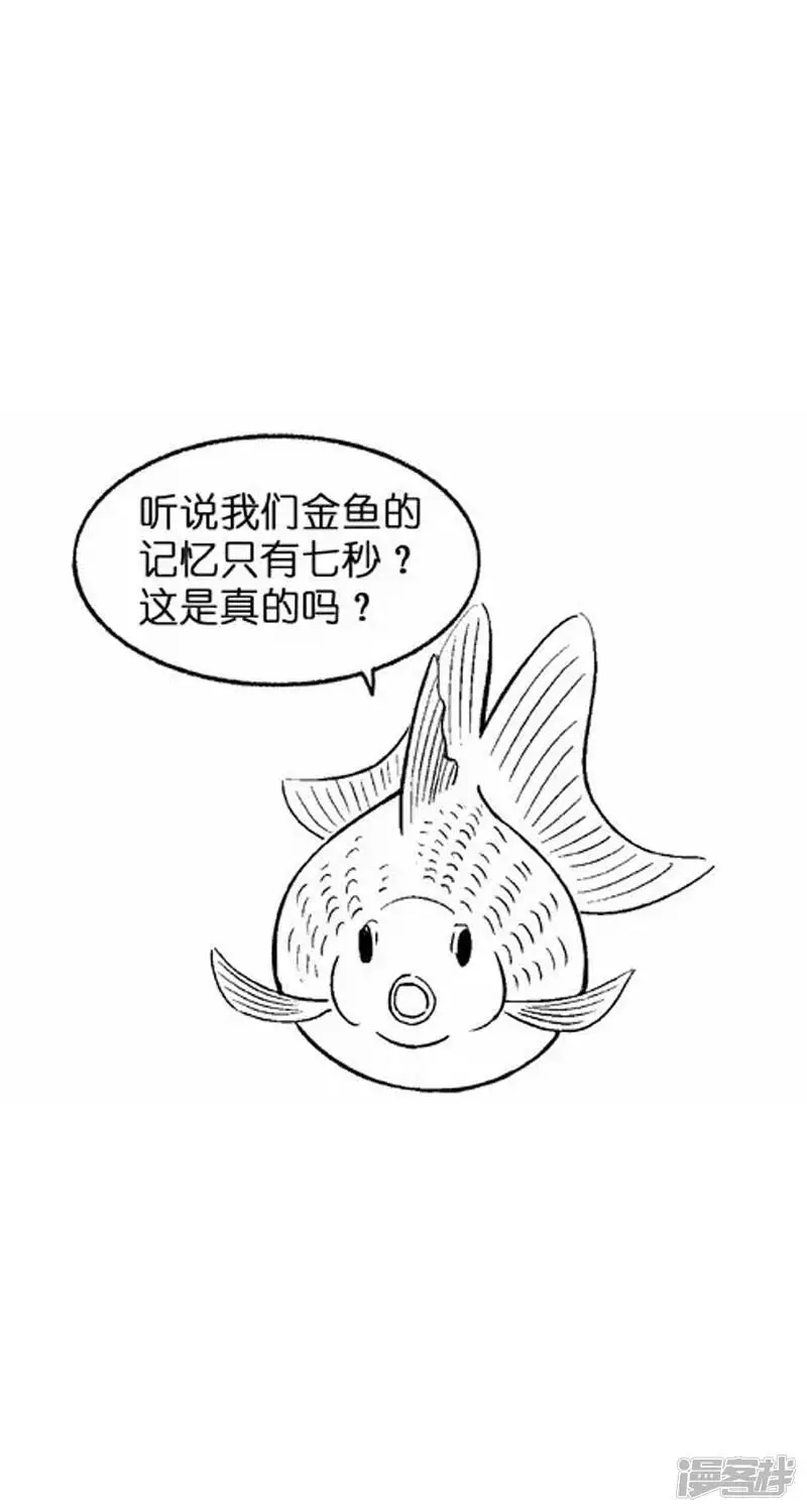 快把动物放进冰箱壁纸漫画,004健忘1图