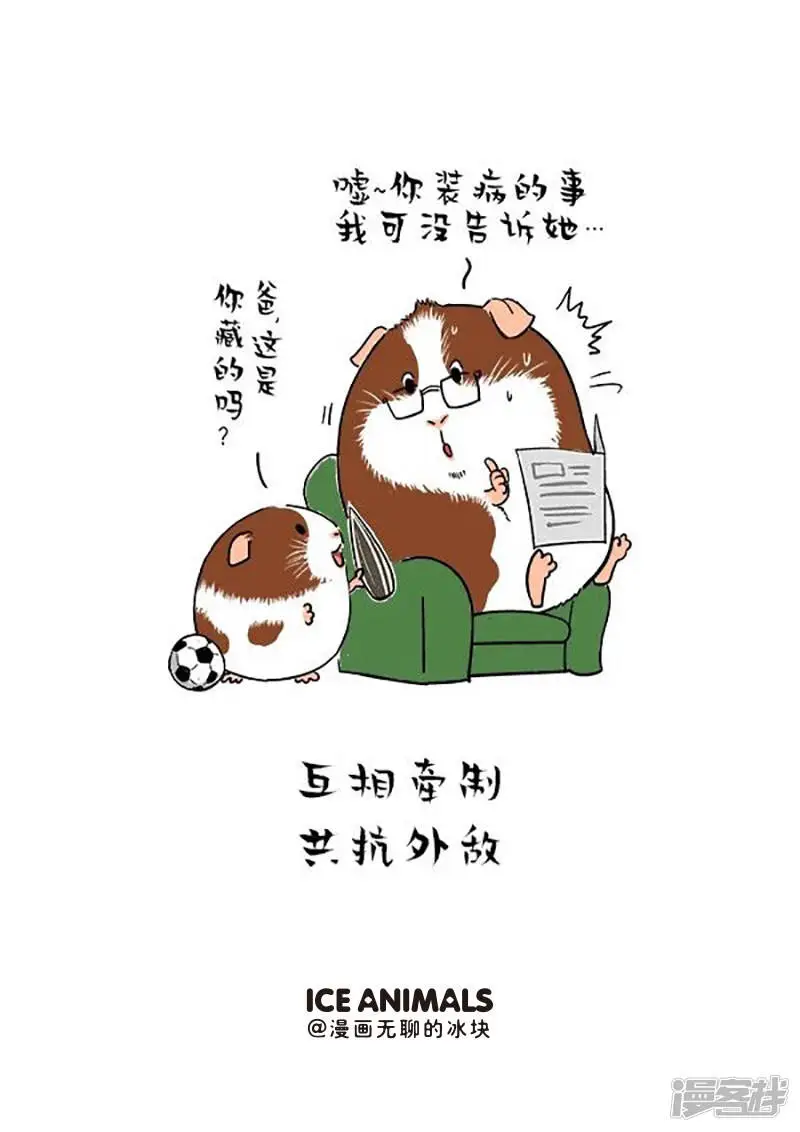 快把动物放进冰箱pdf漫画,150妈，你这老公是怎么肥事啊1图